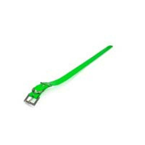 Perfectpet Strap Green 1 in. x 30 in. PE140228